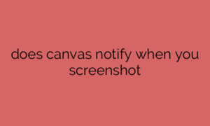 does canvas notify when you screenshot
