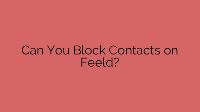 Can You Block Contacts on Feeld?
