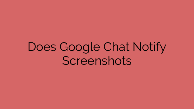 Does Google Chat Notify Screenshots