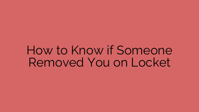 How to Know if Someone Removed You on Locket