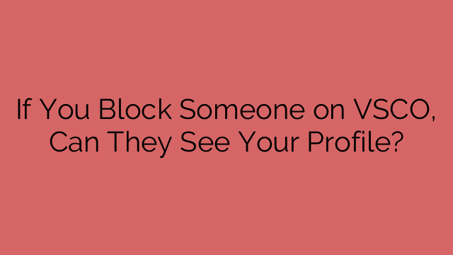 If You Block Someone on VSCO, Can They See Your Profile?