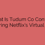 What Is Tudum Co Contact: Exploring Netflix’s Virtual Event