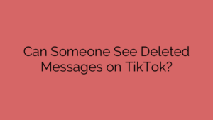 Can Someone See Deleted Messages on TikTok?