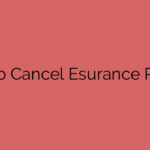 How to Cancel Esurance Policy?