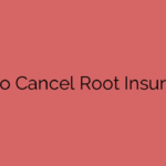 How to Cancel Root Insurance?