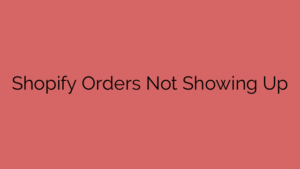 Shopify Orders Not Showing Up