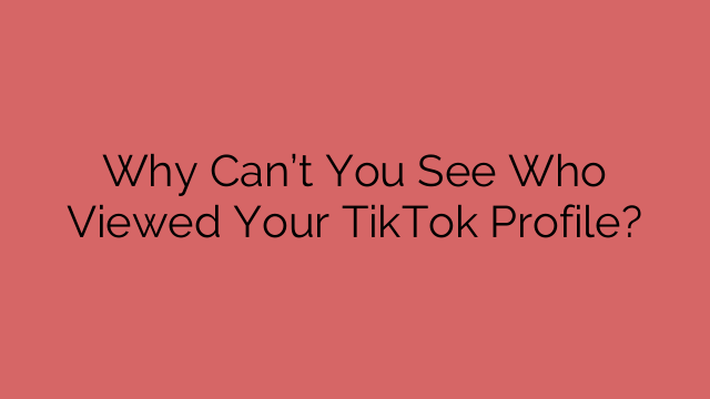 Why Can’t You See Who Viewed Your TikTok Profile?