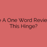 Leave A One Word Review For This Hinge?