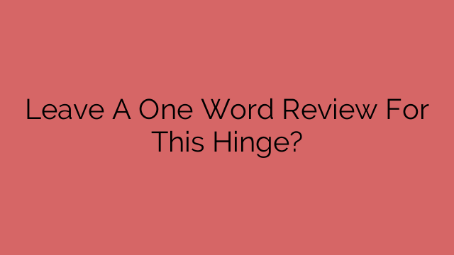 Leave A One Word Review For This Hinge?